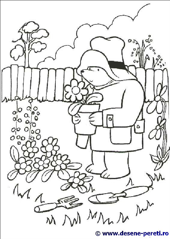 Paddington Bear desene de colorat